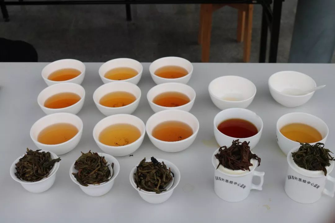 首屆廣東省評(píng)茶員技能大賽圓滿落幕，東方國際茶都飄香引才
